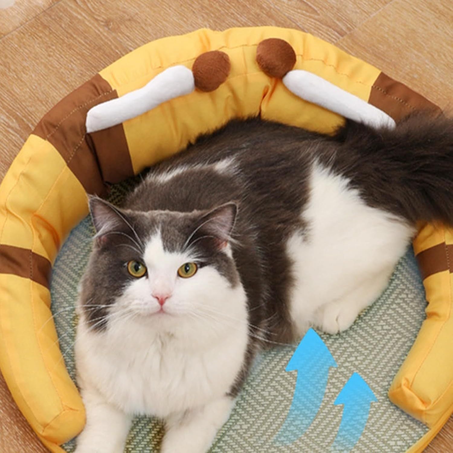 Cozy Honey Cat Bed 🐱🍯

Soft, stylish, and comfy — this honey-themed cat bed keeps your pet warm and relaxed.
✅ Plush & breathable fabric
✅ Non-slip bottom for safety
✅ Washable and easy to clean
✅ Perfect for cats & small pets

📏 Size: 45 x 45 x 15 cm